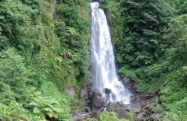 Dominica Scenic Waterfalls and Hot Springs 