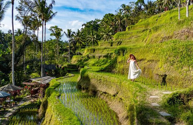 Ubud All-Inclusive Tour with Swing and Lunch