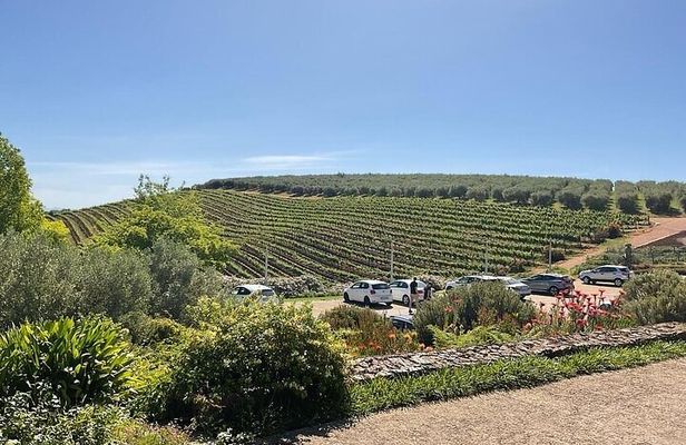 Full Day Tour to Wine Estates Stellenbosch, Franschhoek and Paarl