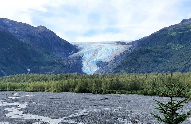 Exit Glacier Nature Hike in Seward