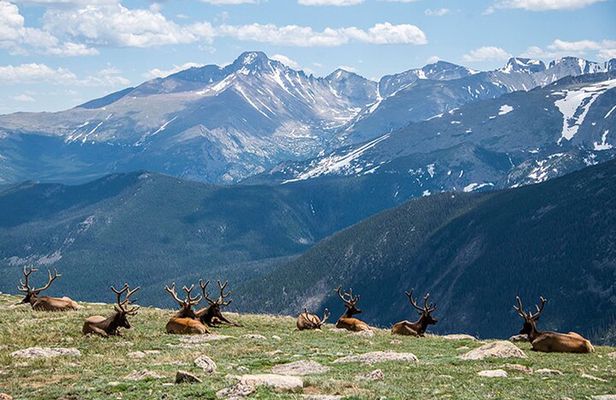 Rocky Mountain National Park - Private Sightseeing Tour