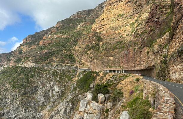 From CapeTown:TableMountain,Penguins &Wine Testing in Constantia 