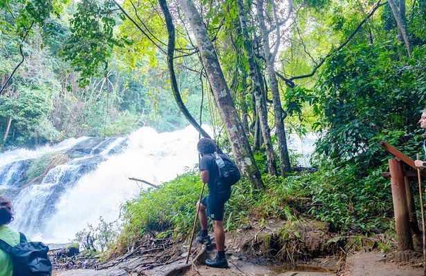 Chiang Mai ATV Tour, Doi Inthanon Trekking, and Elephant Watching