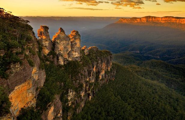 Intimate Blue Mountains Wild Kangaroos & Sunset for Nature Lovers
