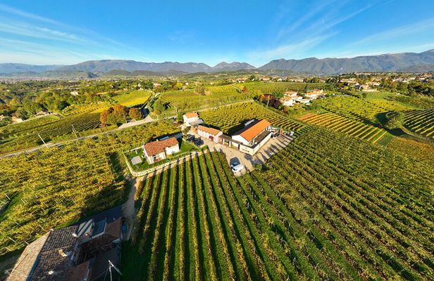Tour and 3 wines tasting in the Prosecco Hills