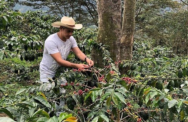 Guided full-day Materuni Waterfall, Coffee-Chemka Hotsprings Tour