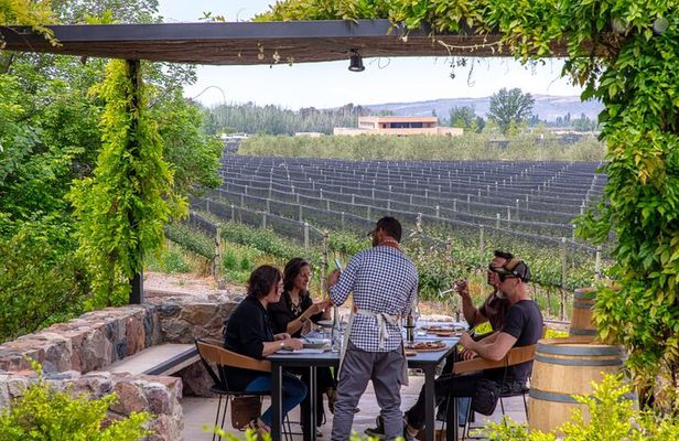 2 Wineries and 1 Distillery Full Day Tour with Lunch in Mendoza