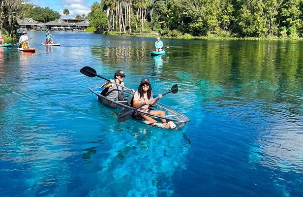 Silver Springs: Clear Kayaking Wildlife Tour