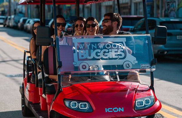 Wynwood Walls Admission and Neighborhood Buggy Experience