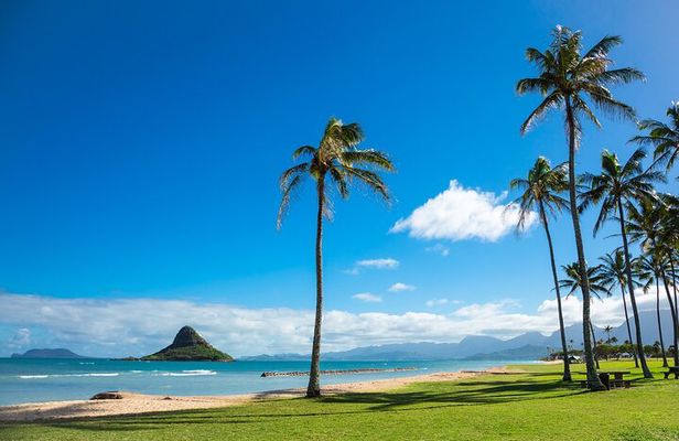 North Shore Snorkeling Tour (Dole & Temple)