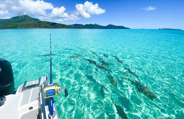 Exploration, Taha'a Lagoon Tour by Private Boat