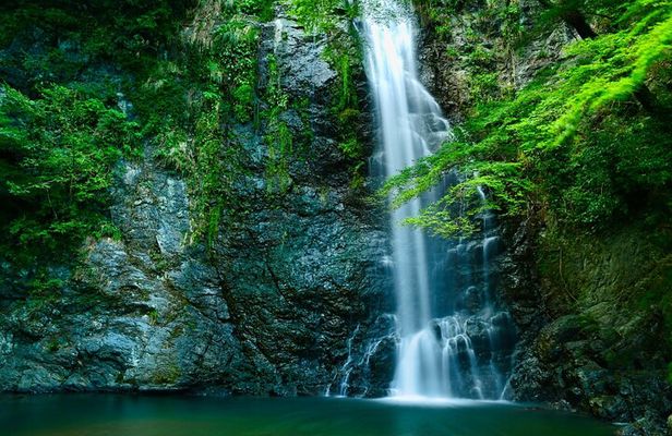 Osaka 8 Hours Tour Explore City and Minoh Falls