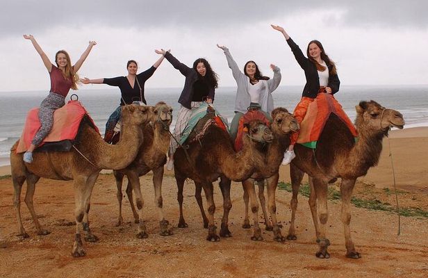 Full-Day Private Guided Tour in Tangier
