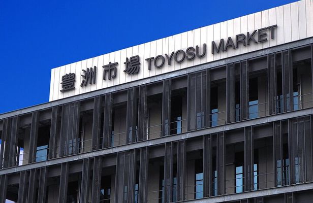 Tuna Auction in Toyosu and Tsukiji Fish Market Tour