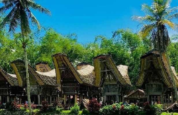 Explore Toraja Culture Heritage in 3 Days from Makassar