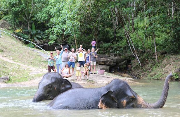 Phuket Elephant Sanctuary Observation and Cooking Class