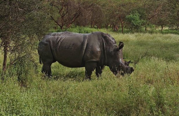 Discover Bandia Safari and The Lagoon of Somone