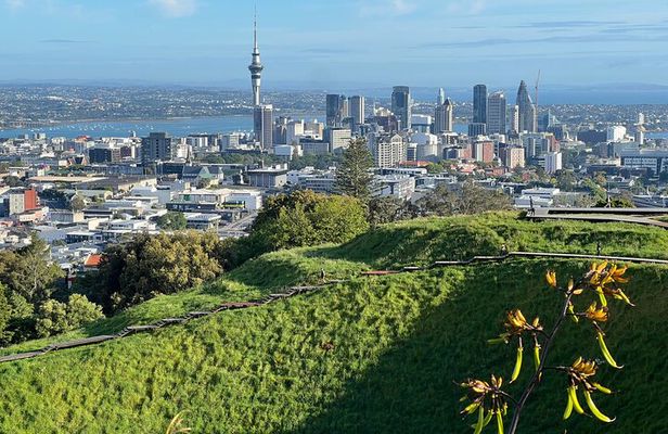AUCKLAND CITY HIGHLIGHTS Half Day Tour with Hotel Pickup