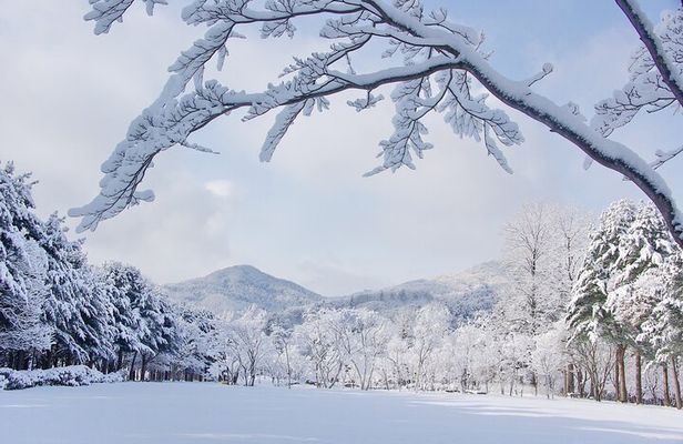 Nami Island Trip with Petite France & Italian Village and Gangchon Rail Bike
