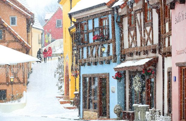 Nami Island and Petite France & Italian Village Day Trip from Seoul