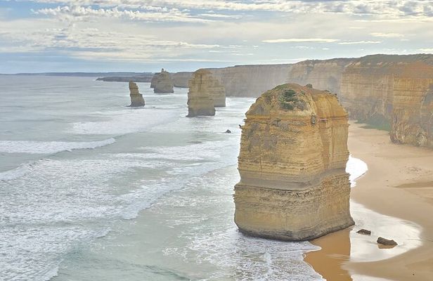 Ocean Road Private Tour from Melbourne