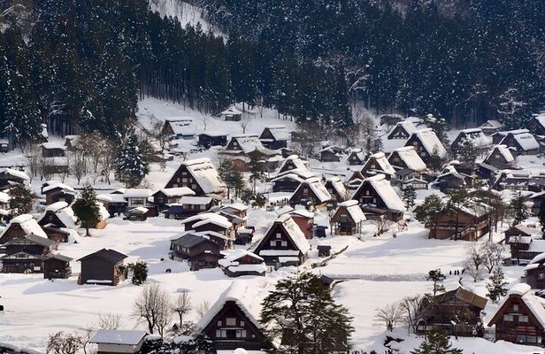Shirakawago & Takayama Bus Tour from Nagoya w/Optional Lunch
