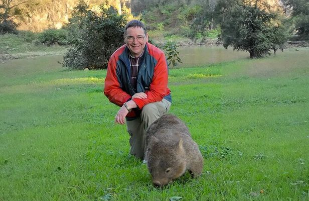 Wombat and Kangaroo Wildlife Tour from Sydney
