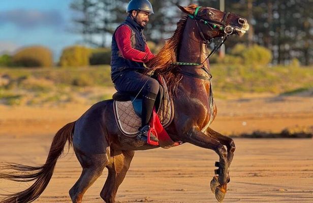 Horseback riding in Haouzia