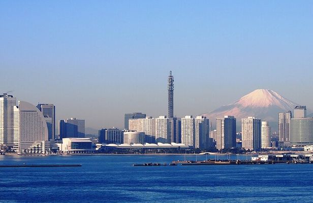 Yokohama Port to Mt. Fuji English Guided Private Tour