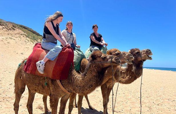 Full Day Private Tangier Tour From Tarifa All Inclusive