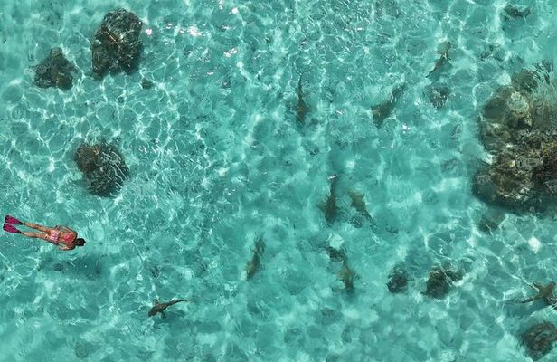 Boat tour of Taha'a Island and its lagoon