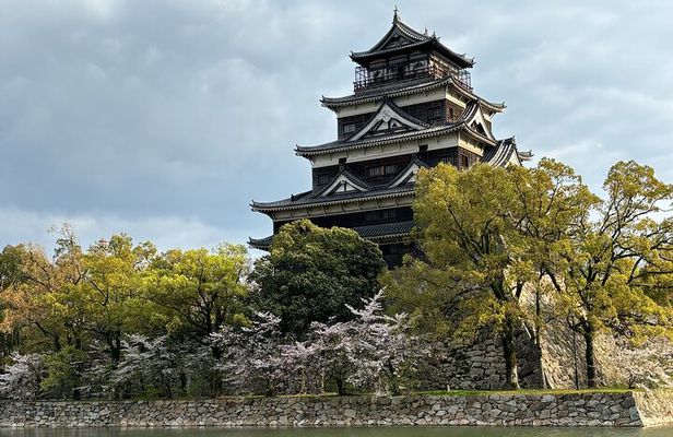 Hiroshima Peace Memorial Park Private Guided Walking Tour