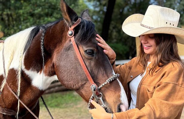 Tequilero Tour with Horseback Riding