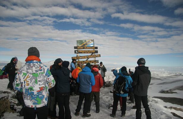 7 Days Mountain Kilimanjaro via Machame Route (Whiskey route)