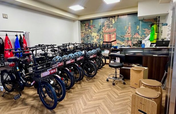 Tokyo 3h: Off the beaten path Ebike tour with knowledgeable guide