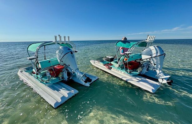 2 Hour Key West Mini Catamaran Eco Tour