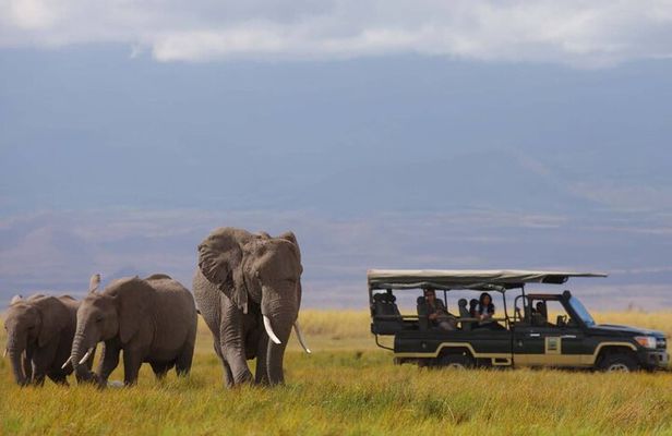 Two Days Amboseli National Park Safari