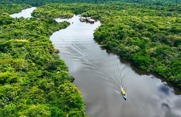  Iquitos: 2 Day Amazon Rainforest Discovery - Iquitos Jungle Tour