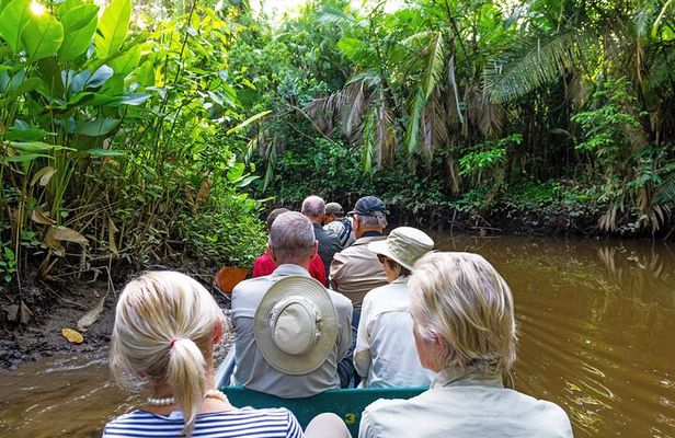 Iquitos: Pacaya Samiria National Reserve Amazon Tour | 3D/2N
