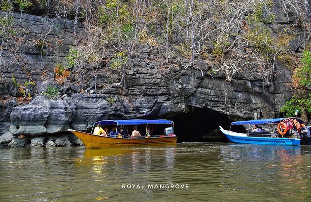 Mangrove Tour with Snorkelling
