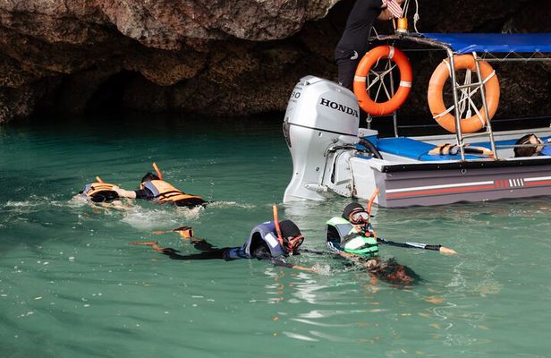 3 Hour Mangrove Tour with Bonus Snorkeling Experience