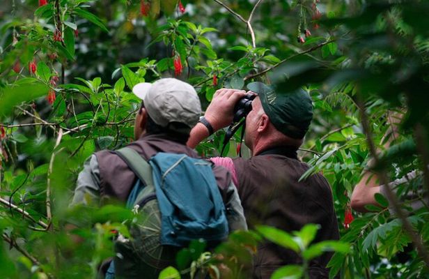 Puerto Maldonado: 2 Days Sandoval Tour - Tambopata Amazon Jungle