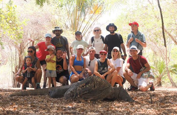 3 Days 2 Nights Sailing Trip to Komodo with Phinisi Boat