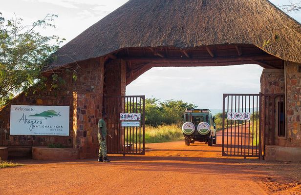 Safari and Sunrise Boat Cruise in Akagera National Park