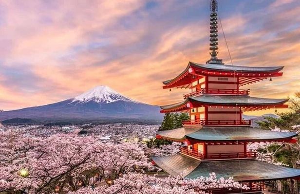 Fuji and Hakone Private Tour with English Guide and Photography