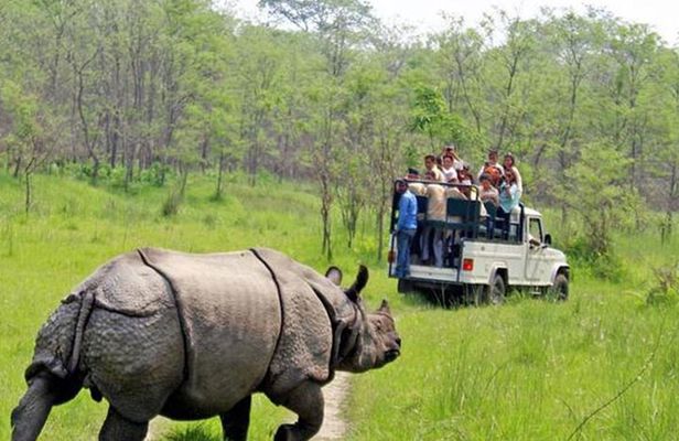 Kathmandu 2 Nights 3 Days Chitwan Jungle Safari Tour 