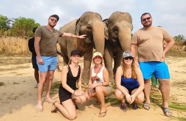 Cambodia Elephants Haft Day Experiences from Siem Reap
