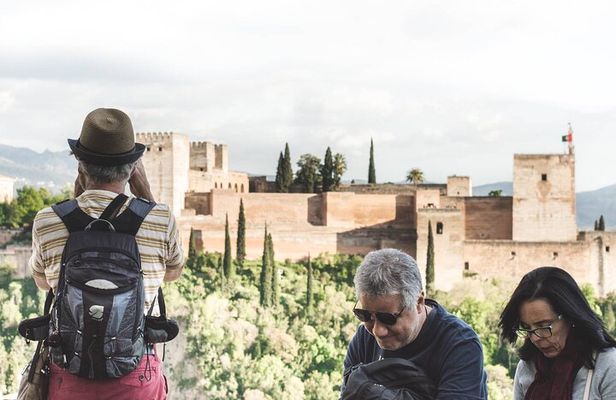 Granada Hybrid Walking Tour: Albayzin and Sacromonte