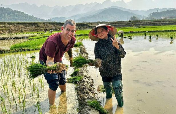 3-Day Sapa Trek, visit Fansipan (cable car) from Hanoi with local