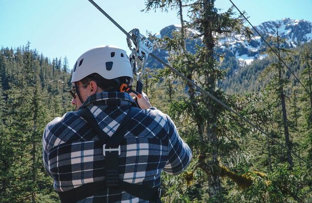 Alpine Zipline Adventure in Juneau, AK